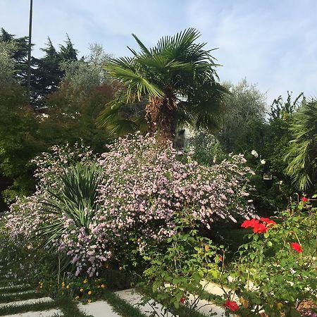 Villa Arzilla Desenzano del Garda Exterior photo